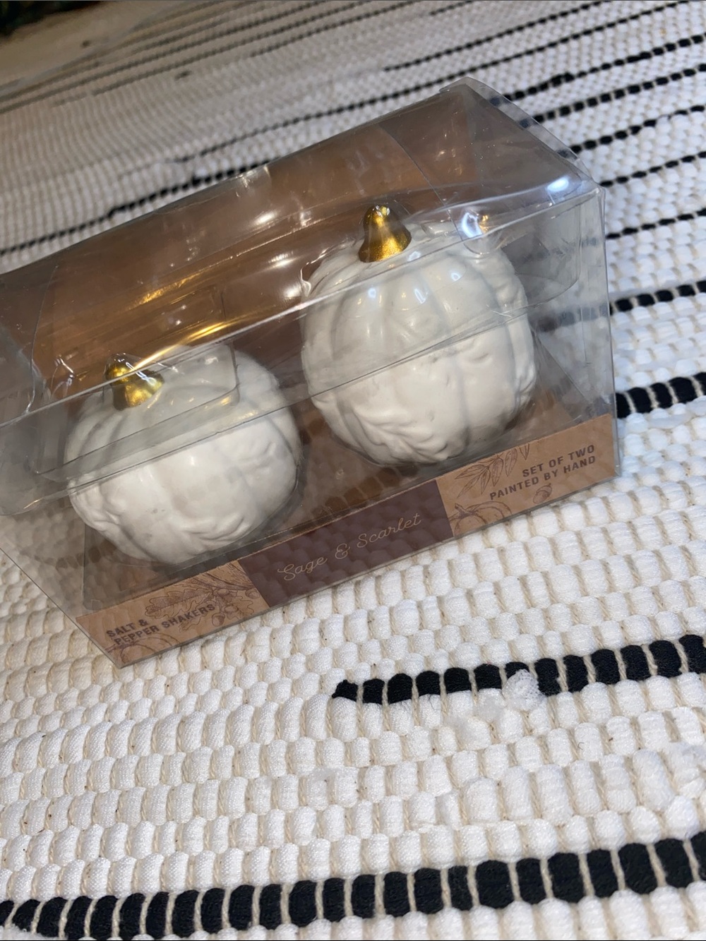 Sage & Scarlet White Ceramic Pumpkin Salt & Pepper Shakers